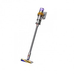 Dyson V12